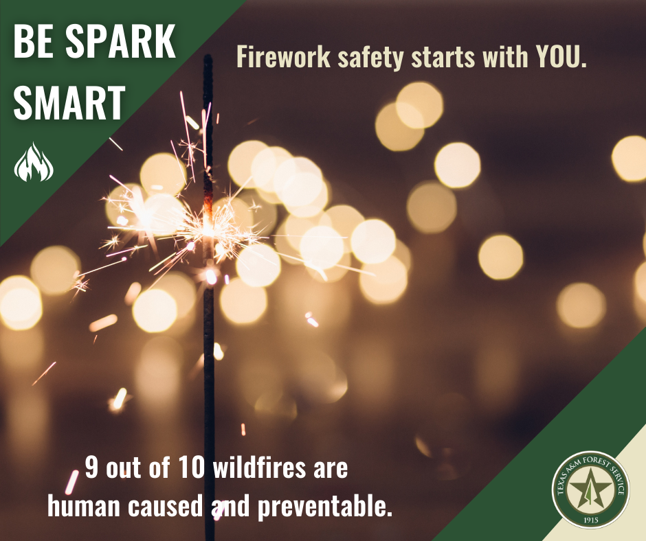 Wildfire Prevention Resources_Fireworks Wildfire Prevention Resources_Fireworks